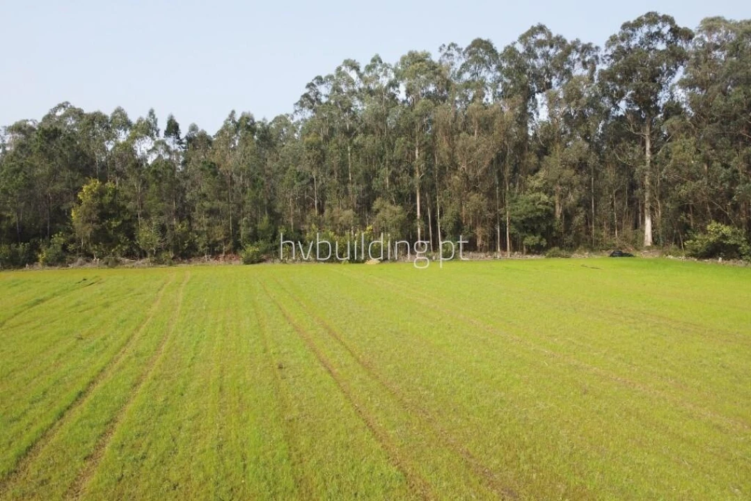 Terreno para Venda em Gemeses Foto 5