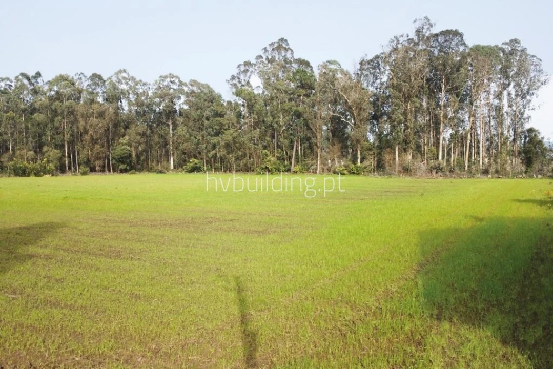 Terreno para Venda em Gemeses Foto 1