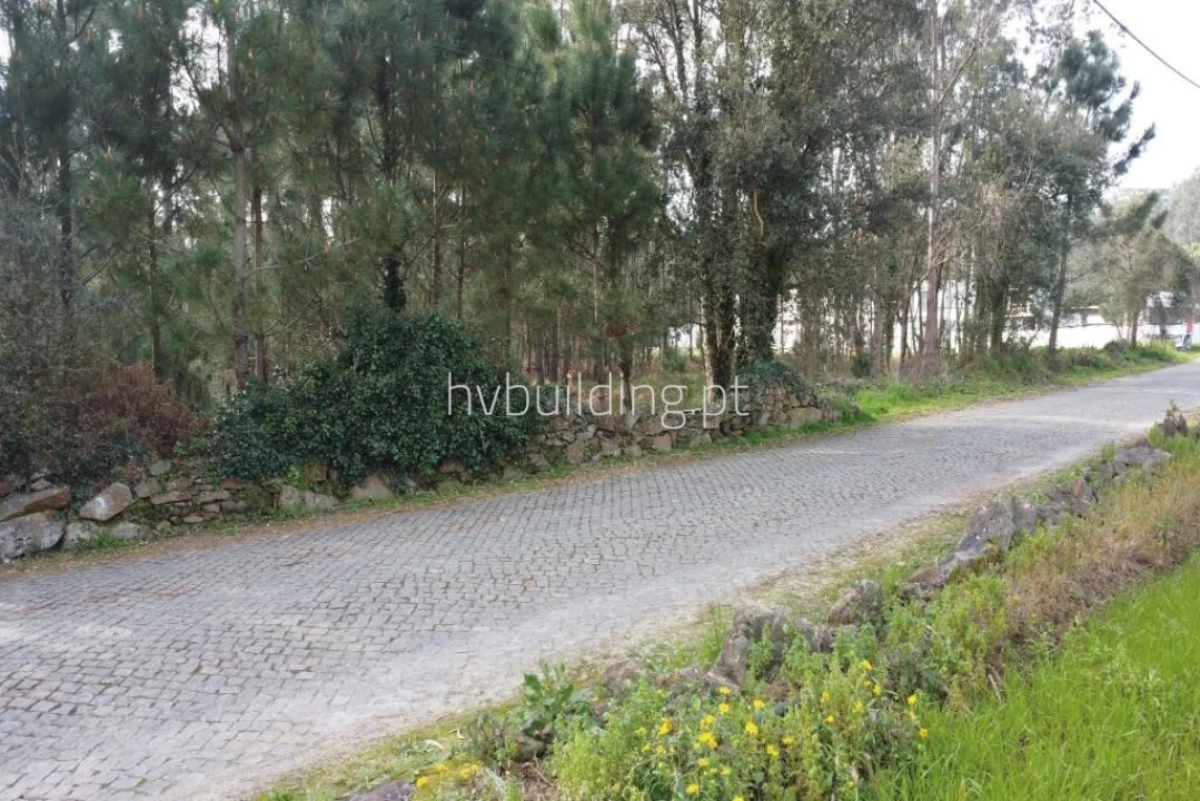 Terreno para Venda em Gemeses Foto 9