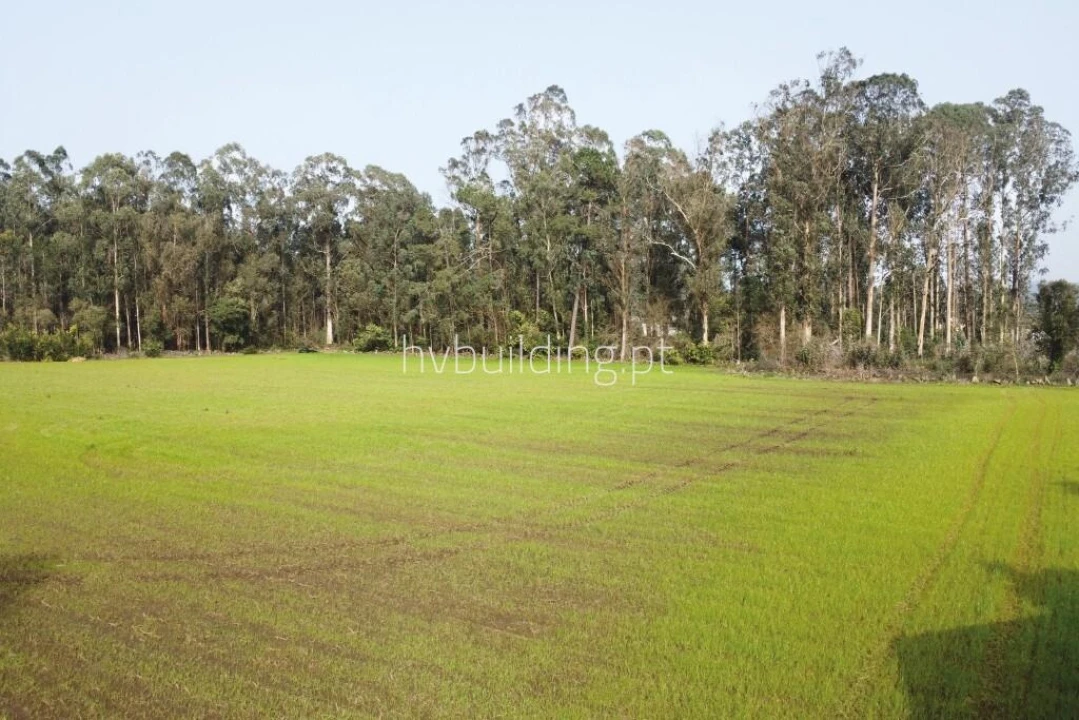 Terreno para Venda em Gemeses Foto 2