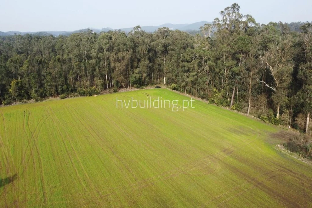 Terreno para Venda em Gemeses Foto 6