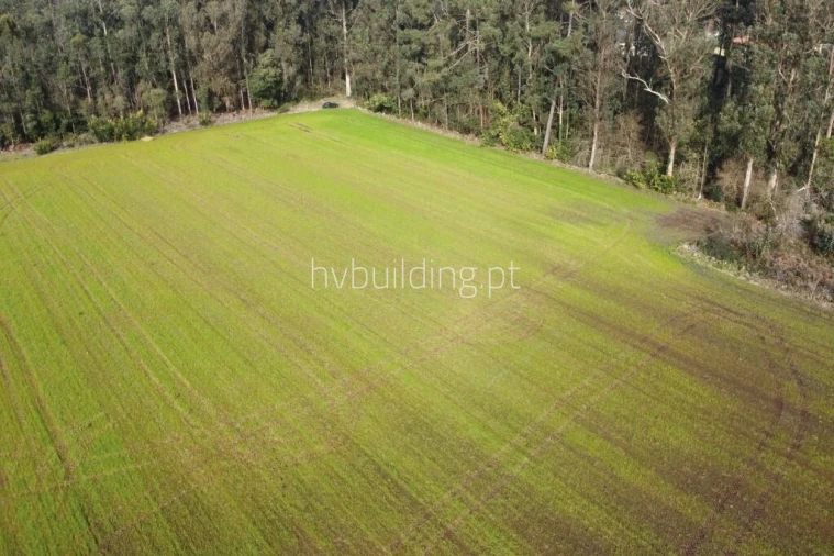 Terreno para Venda em Gemeses Foto 7