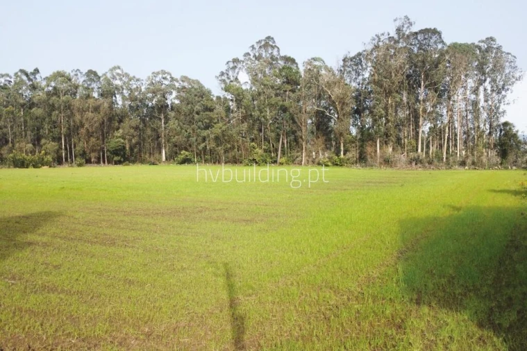 Terreno para Venda em Gemeses Foto 1