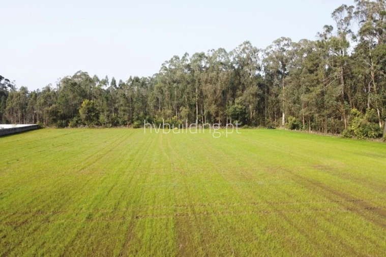 Terreno para Venda em Gemeses Foto 3