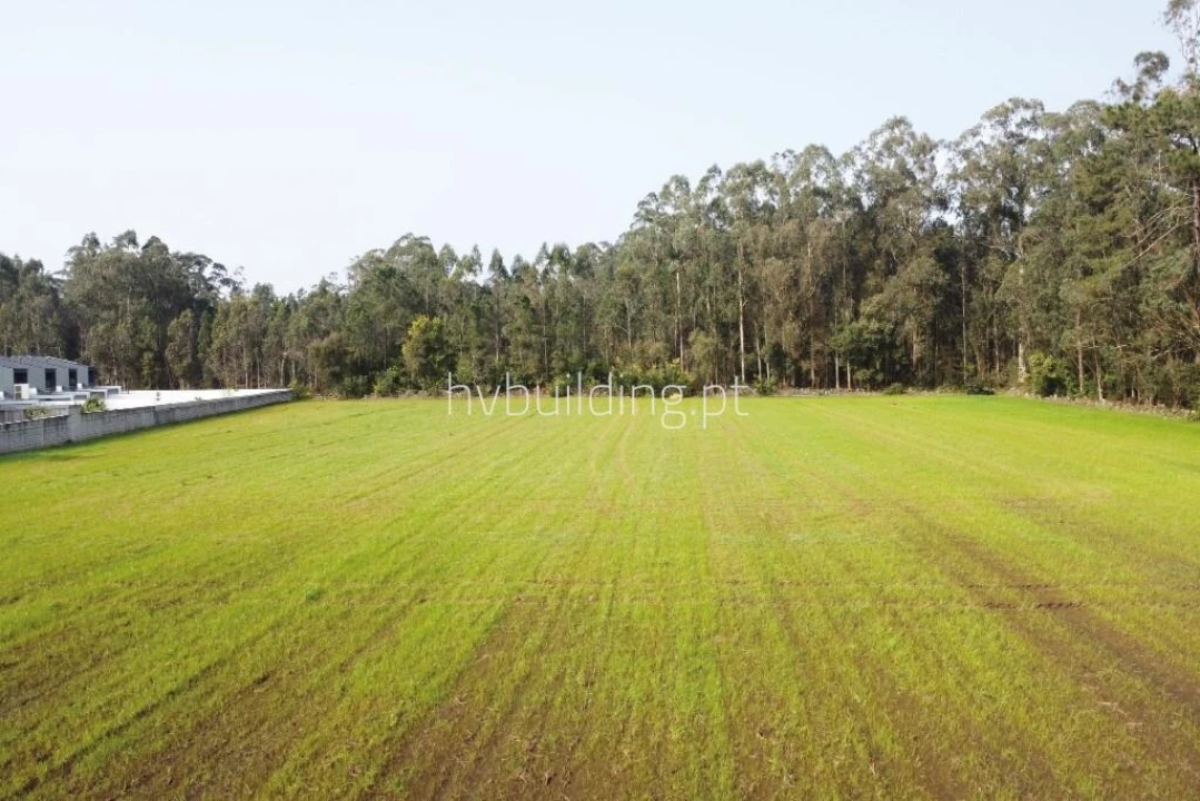 Terreno para Venda em Gemeses Foto 4