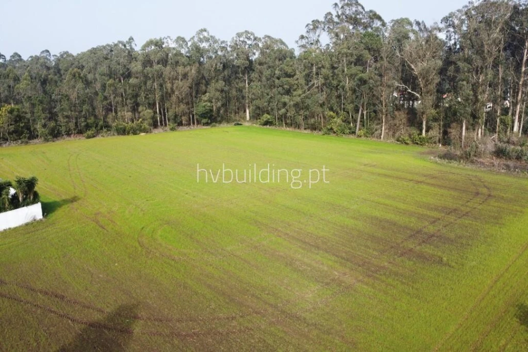 Terreno para Venda em Gemeses Foto 8