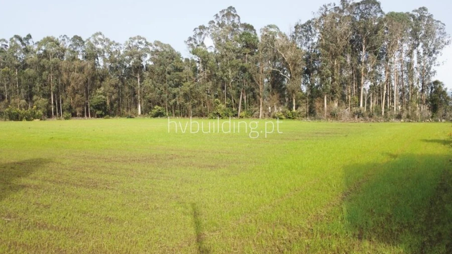 Terreno para Venda em Gemeses