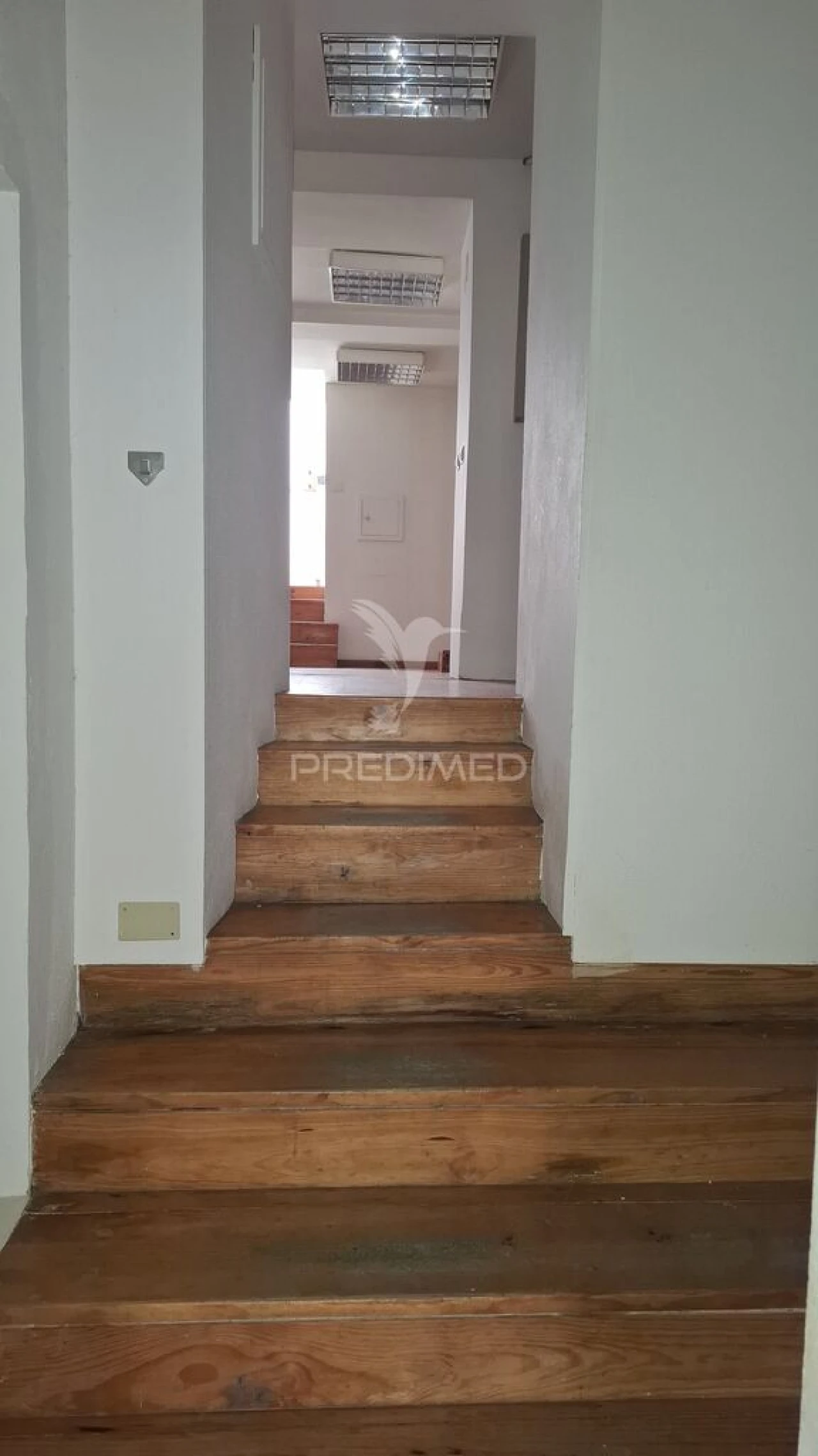 Loja para Arrendamento em Ribeira de Nisa e Carreiras Foto 7