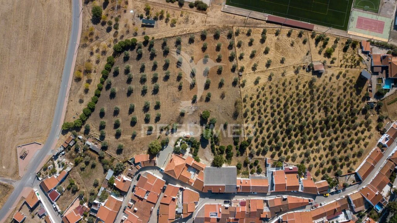 Quinta T5 para Venda em Monte do Trigo Foto 8