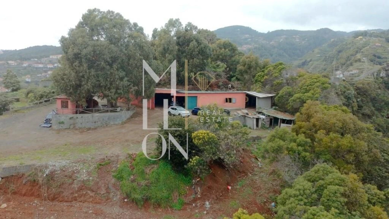 Terreno para Venda em Santa Cruz Foto 12