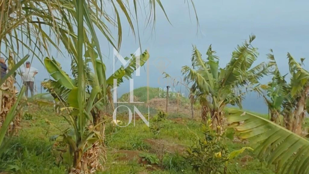 Terreno para Venda em Santa Cruz Foto 4
