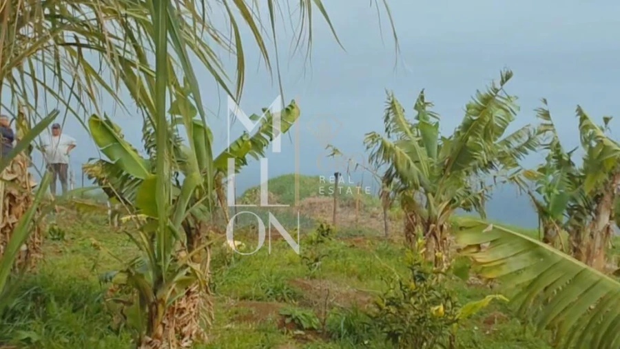 Terreno para Venda em Santa Cruz Foto 4