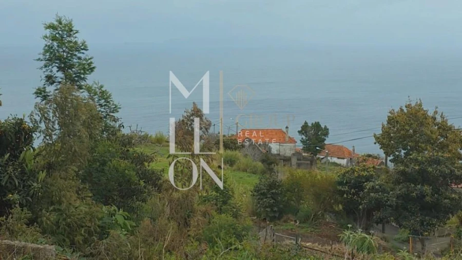 Terreno para Venda em Santa Cruz Foto 5