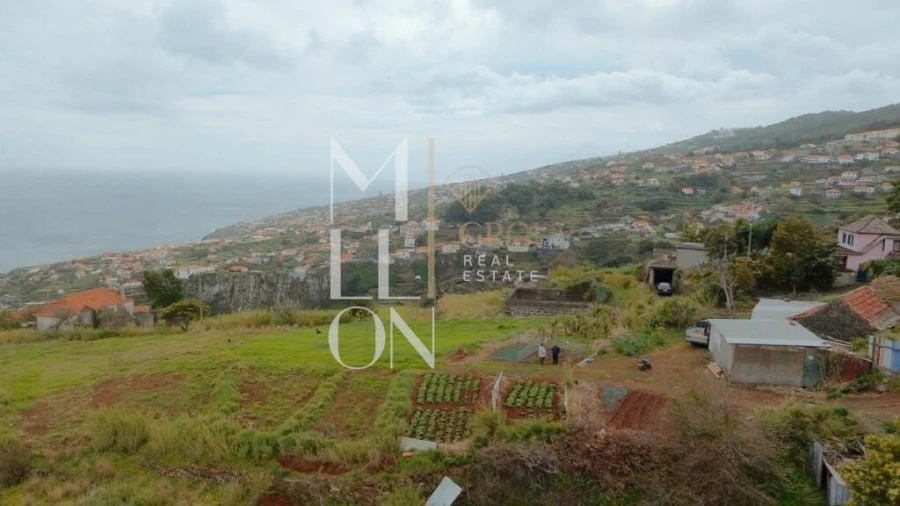 Terreno para Venda em Santa Cruz Foto 10