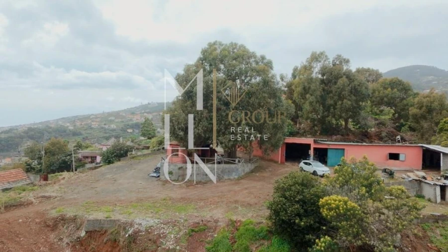 Terreno para Venda em Santa Cruz Foto 8