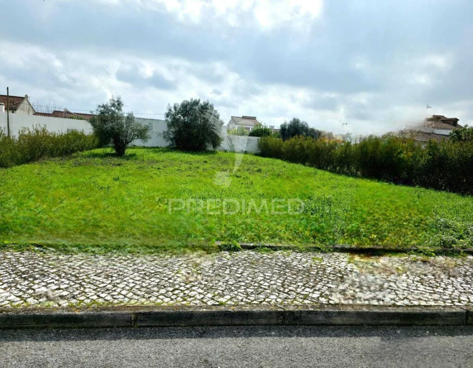 Terreno para Venda em Marmeleira e Assentiz Foto 6