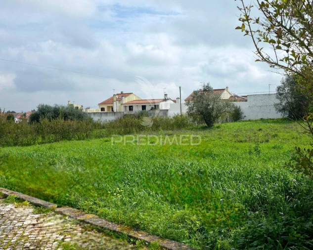 Terreno para Venda em Marmeleira e Assentiz Foto 4