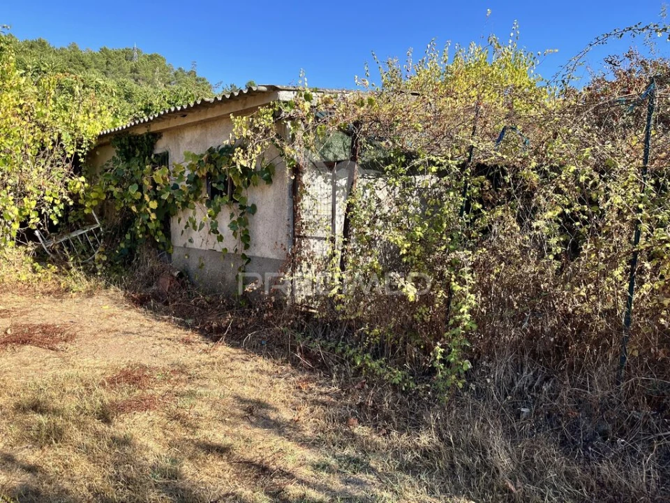 Terreno para Venda em Planalto de Monforte (Oucidres e Bobadela) Foto 4