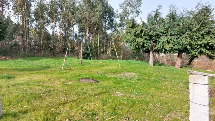 Terreno para Venda em Caniçada e Soengas Foto 7
