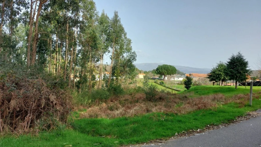 Terreno para Venda em Caniçada e Soengas Foto 9
