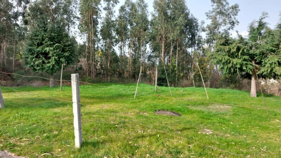 Terreno para Venda em Caniçada e Soengas Foto 4