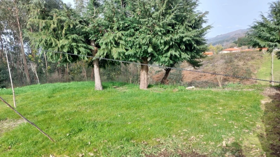 Terreno para Venda em Caniçada e Soengas Foto 6
