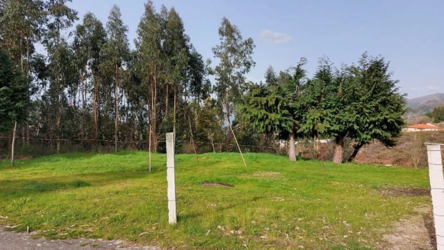 Terreno para Venda em Caniçada e Soengas Foto 8