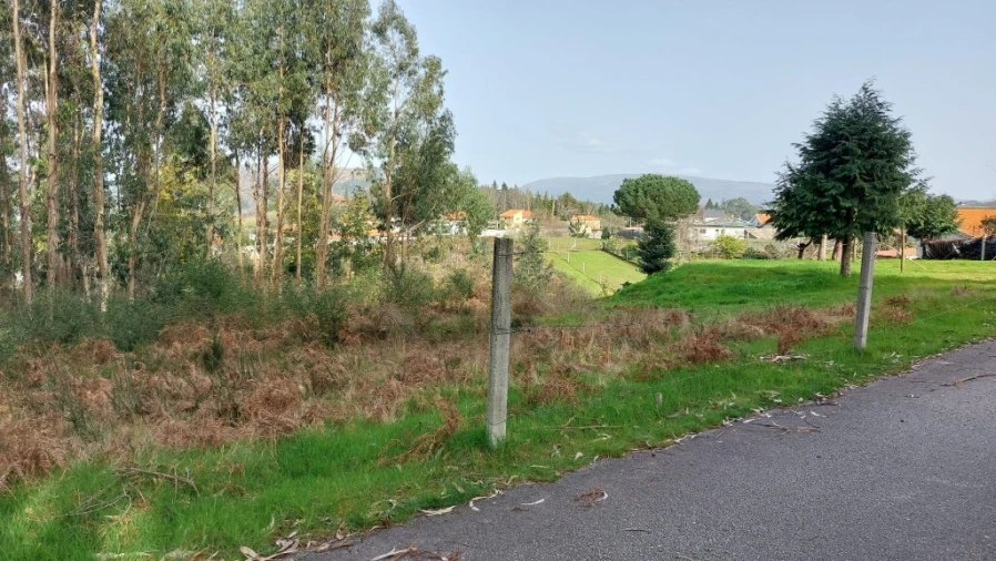 Terreno para Venda em Caniçada e Soengas Foto 5