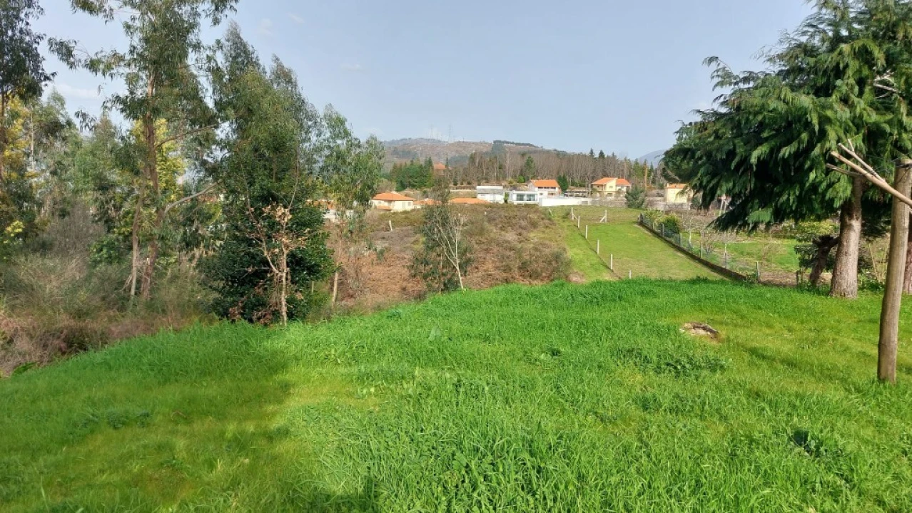 Terreno para Venda em Caniçada e Soengas Foto 3