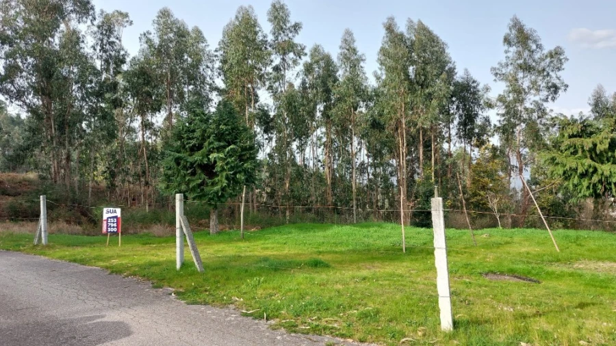 Terreno para Venda em Caniçada e Soengas