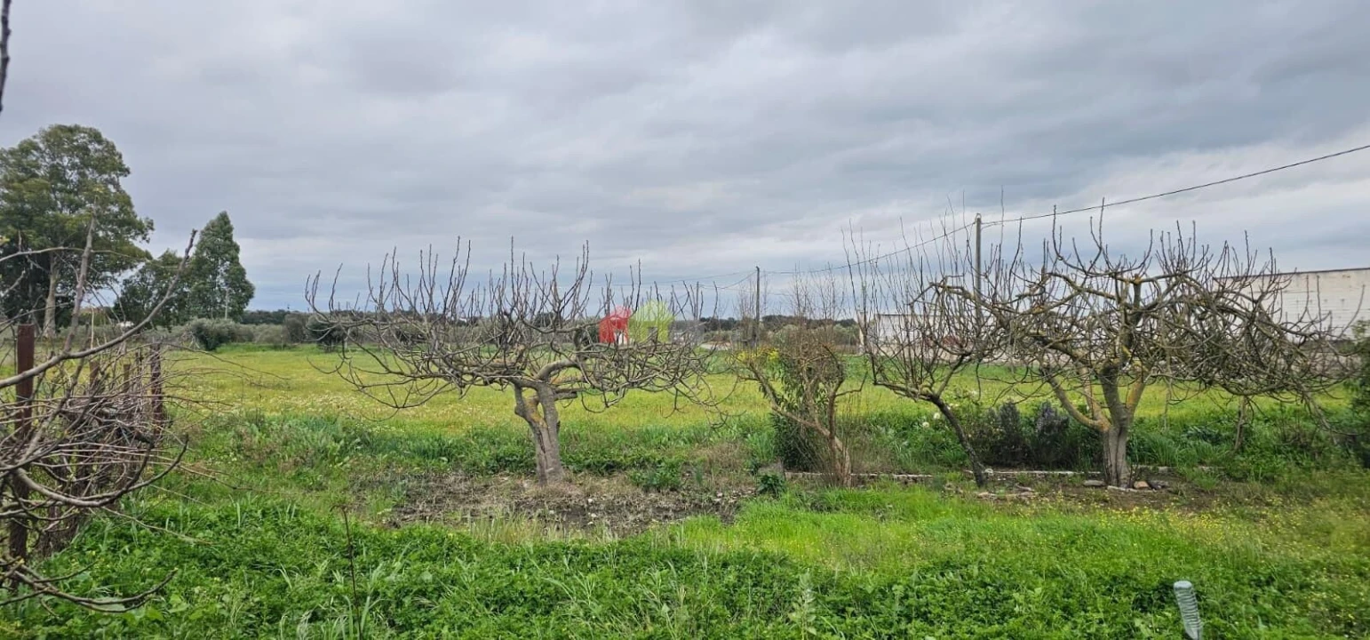 Terreno para Venda em Nossa Senhora das Neves Foto 1