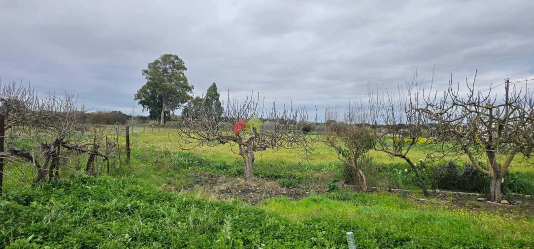 Terreno para Venda em Nossa Senhora das Neves Foto 3