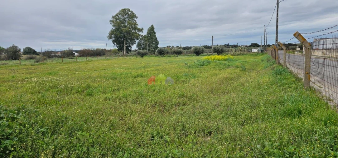 Terreno para Venda em Nossa Senhora das Neves Foto 4