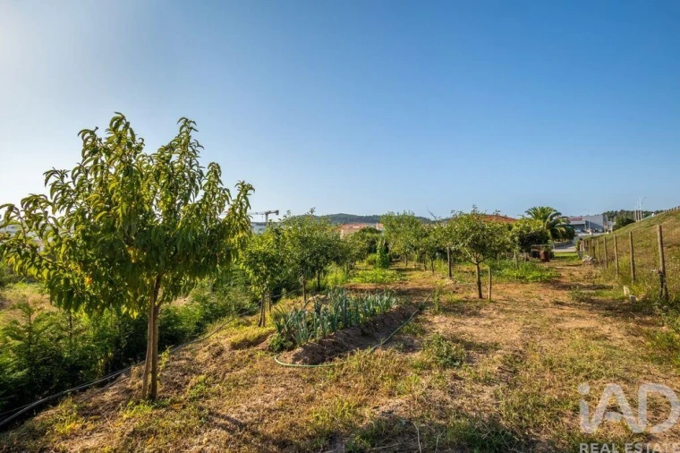 Moradia T5 para Venda em São Martinho do Porto Foto 24