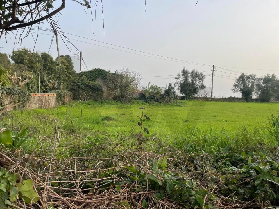 Terreno para Venda em Travassô e Óis da Ribeira Foto 4