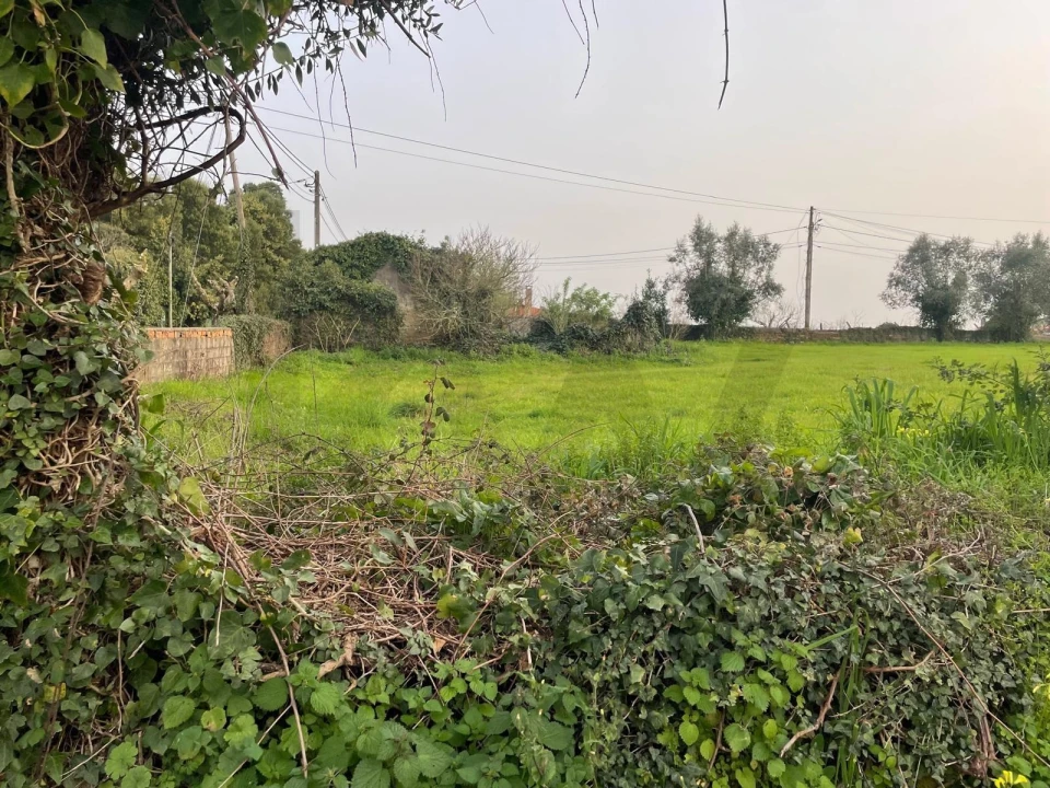 Terreno para Venda em Travassô e Óis da Ribeira Foto 1