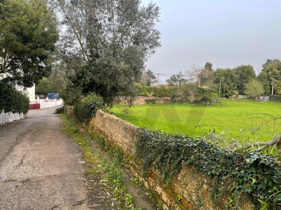Terreno para Venda em Travassô e Óis da Ribeira Foto 18