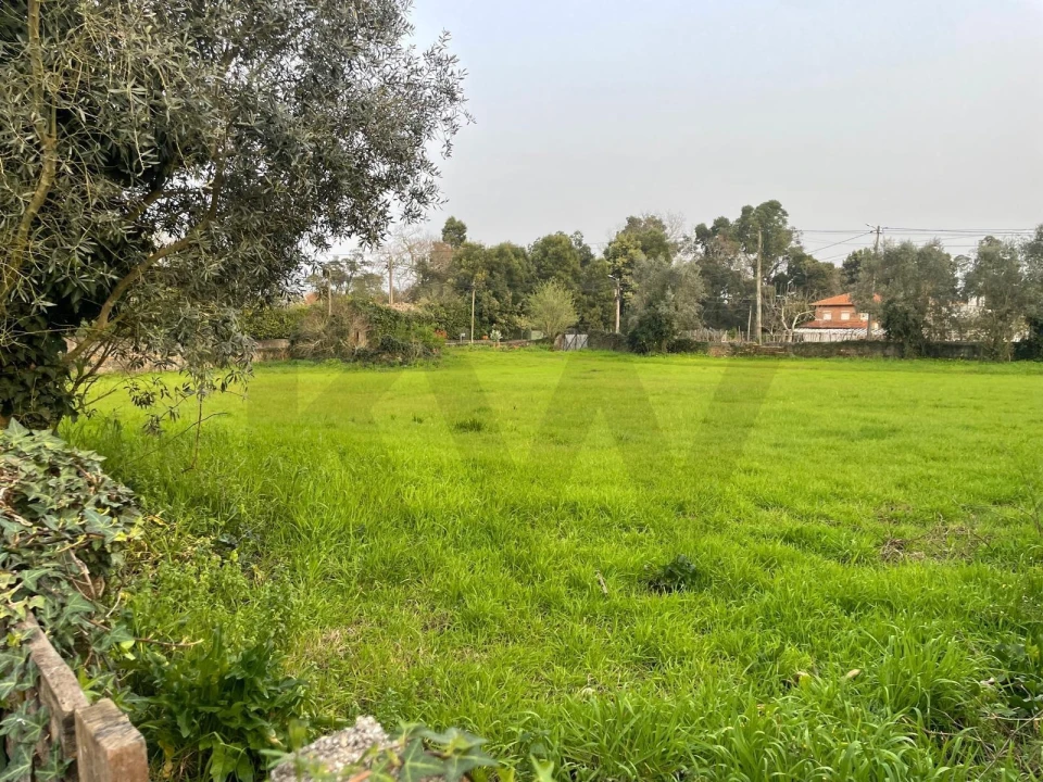 Terreno para Venda em Travassô e Óis da Ribeira Foto 15
