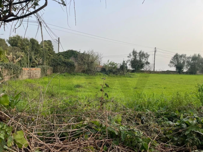 Terreno para Venda em Travassô e Óis da Ribeira Foto 4
