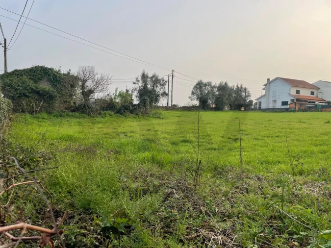 Terreno para Venda em Travassô e Óis da Ribeira Foto 22
