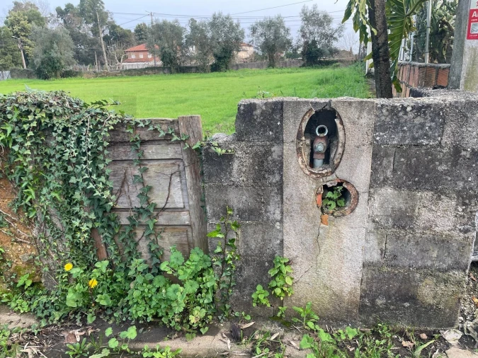 Terreno para Venda em Travassô e Óis da Ribeira Foto 5