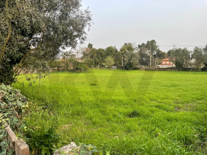 Terreno para Venda em Travassô e Óis da Ribeira Foto 3