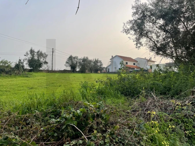 Terreno para Venda em Travassô e Óis da Ribeira Foto 2