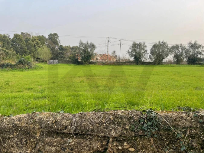 Terreno para Venda em Travassô e Óis da Ribeira Foto 7