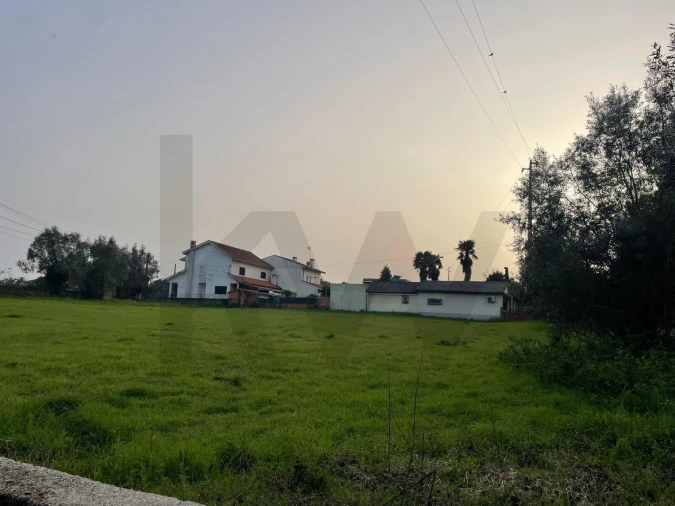 Terreno para Venda em Travassô e Óis da Ribeira Foto 10