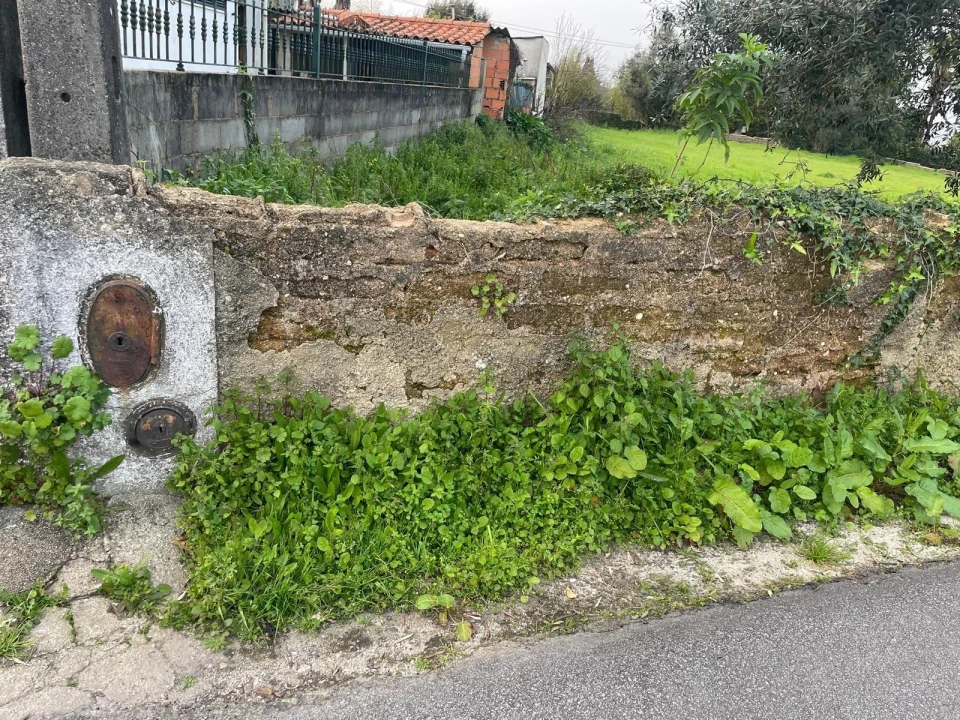 Terreno para Venda em Travassô e Óis da Ribeira Foto 24