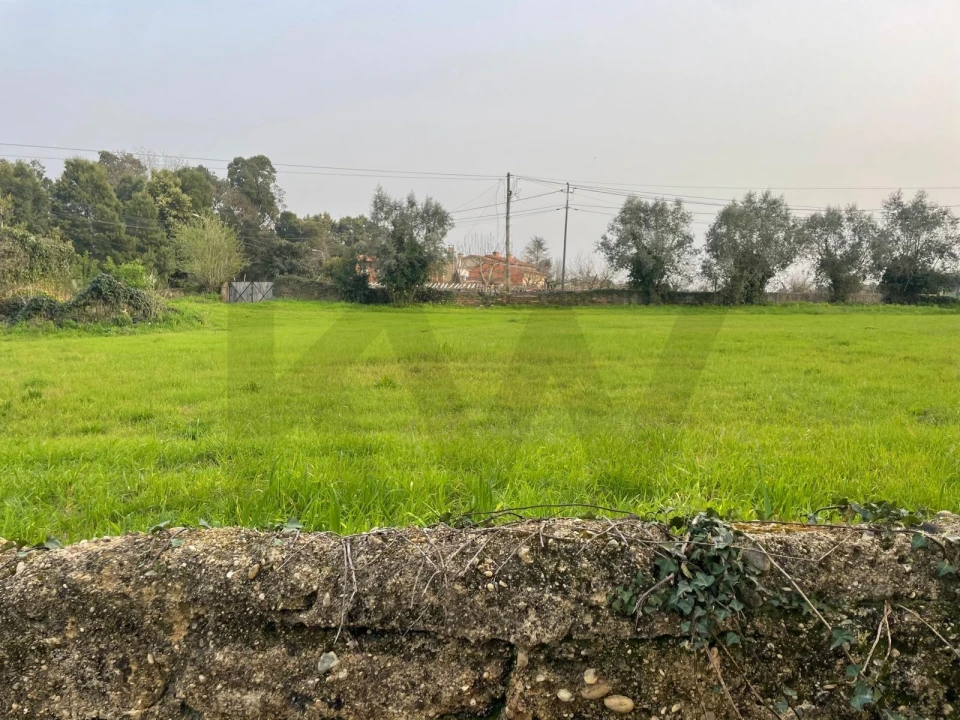 Terreno para Venda em Travassô e Óis da Ribeira Foto 20