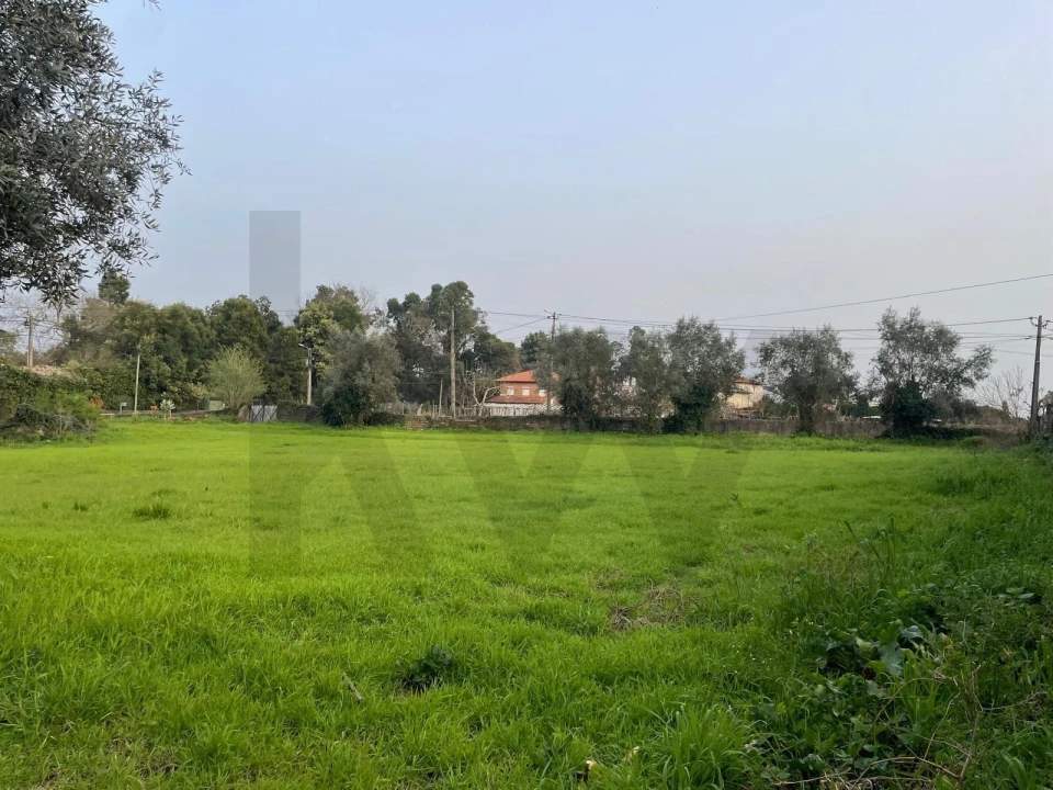 Terreno para Venda em Travassô e Óis da Ribeira Foto 23