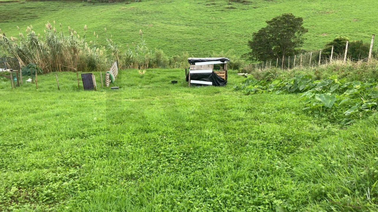Terreno para Venda em Sao Pedro de Nordestinho Foto 2