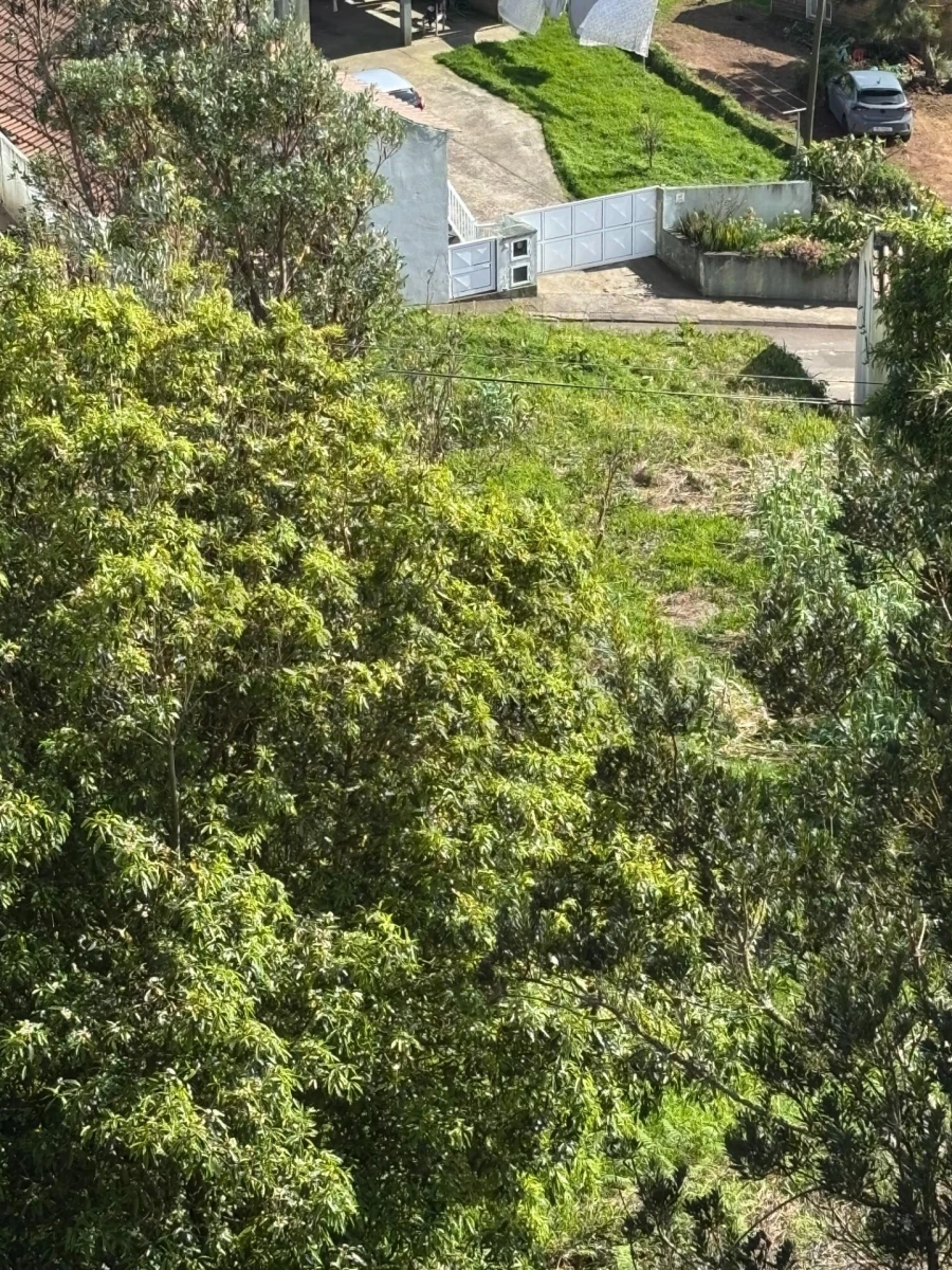 Terreno para Venda em Nordeste Foto 7